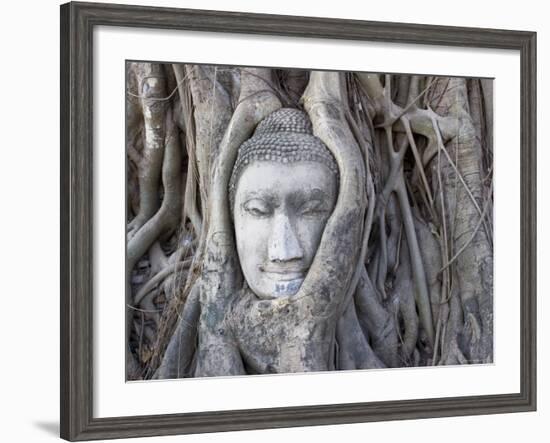 Buddha Head, Wat Phra Mahathat, Ayutthaya, Thailand-Michele Falzone-Framed Photographic Print