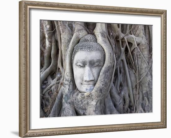 Buddha Head, Wat Phra Mahathat, Ayutthaya, Thailand-Michele Falzone-Framed Photographic Print