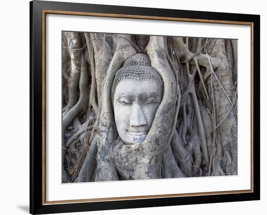 Buddha Head, Wat Phra Mahathat, Ayutthaya, Thailand-Michele Falzone-Framed Photographic Print