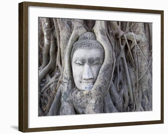 Buddha Head, Wat Phra Mahathat, Ayutthaya, Thailand-Michele Falzone-Framed Photographic Print