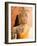 Buddha Image at Ayuthaya, Yai Chai Mongkhon, Siam, Thailand-Gavriel Jecan-Framed Photographic Print