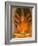 Buddha Image, Thailand-Gavriel Jecan-Framed Photographic Print