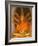 Buddha Image, Thailand-Gavriel Jecan-Framed Photographic Print