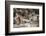 Buddha Images in Kaw Ka Thawng Caves, Hpa An, Kayin State (Karen State), Myanmar (Burma), Asia-Matthew Williams-Ellis-Framed Photographic Print