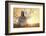 Buddha in Meditation, Religious Concept-egal-Framed Photographic Print