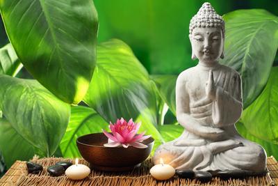 Buddha lotus deals
