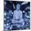 Buddha In The Garden-Hedy Klineman-Mounted Giclee Print