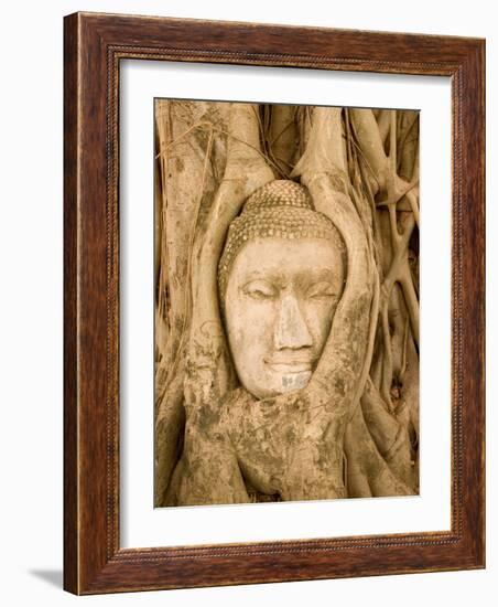 Buddha in Tree Ruts at Ayuthaya, Siam, Thailand-Gavriel Jecan-Framed Photographic Print