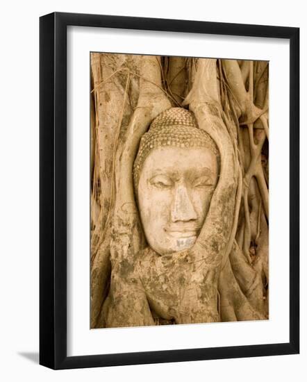 Buddha in Tree Ruts at Ayuthaya, Siam, Thailand-Gavriel Jecan-Framed Photographic Print