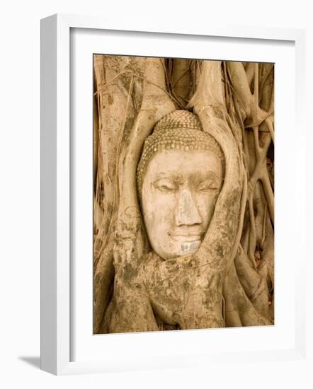 Buddha in Tree Ruts at Ayuthaya, Siam, Thailand-Gavriel Jecan-Framed Photographic Print