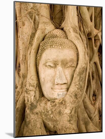 Buddha in Tree Ruts at Ayuthaya, Siam, Thailand-Gavriel Jecan-Mounted Photographic Print