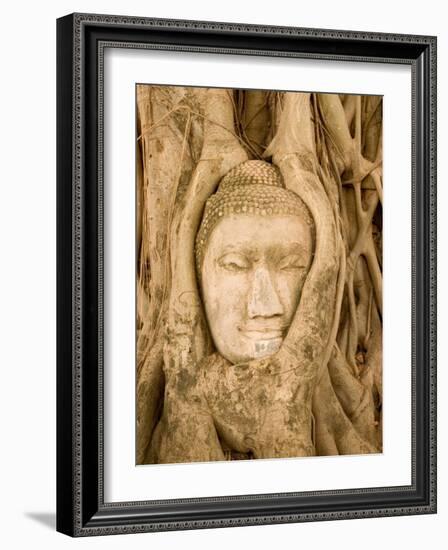 Buddha in Tree Ruts at Ayuthaya, Siam, Thailand-Gavriel Jecan-Framed Photographic Print