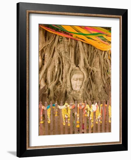 Buddha in Tree Ruts at Ayuthaya, Siam, Thailand-Gavriel Jecan-Framed Photographic Print