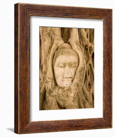 Buddha in Tree Ruts at Ayuthaya, Siam, Thailand-Gavriel Jecan-Framed Photographic Print