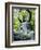 Buddha Statue (1790), Japanese Tea Gardens, Golden Gate Park, San Francisco, California, USA-Fraser Hall-Framed Photographic Print