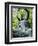 Buddha Statue (1790), Japanese Tea Gardens, Golden Gate Park, San Francisco, California, USA-Fraser Hall-Framed Photographic Print