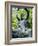 Buddha Statue (1790), Japanese Tea Gardens, Golden Gate Park, San Francisco, California, USA-Fraser Hall-Framed Photographic Print