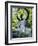 Buddha Statue (1790), Japanese Tea Gardens, Golden Gate Park, San Francisco, California, USA-Fraser Hall-Framed Photographic Print