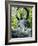 Buddha Statue (1790), Japanese Tea Gardens, Golden Gate Park, San Francisco, California, USA-Fraser Hall-Framed Photographic Print