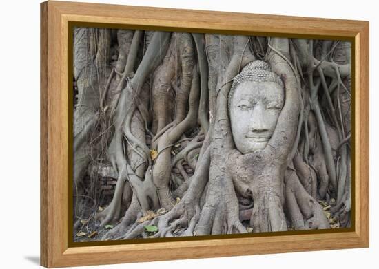 Buddha Statue Head Surrounded By Tree Roots. Wat Phra Mahathat Temple. Ayutthaya, Thailand-Oscar Dominguez-Framed Premier Image Canvas