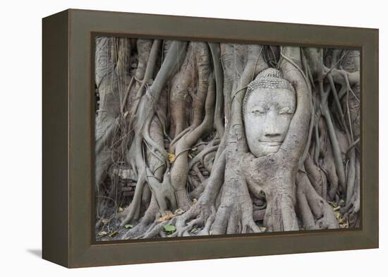 Buddha Statue Head Surrounded By Tree Roots. Wat Phra Mahathat Temple. Ayutthaya, Thailand-Oscar Dominguez-Framed Premier Image Canvas