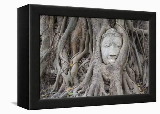 Buddha Statue Head Surrounded By Tree Roots. Wat Phra Mahathat Temple. Ayutthaya, Thailand-Oscar Dominguez-Framed Premier Image Canvas