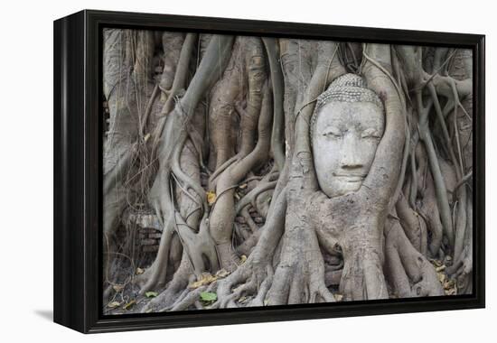 Buddha Statue Head Surrounded By Tree Roots. Wat Phra Mahathat Temple. Ayutthaya, Thailand-Oscar Dominguez-Framed Premier Image Canvas