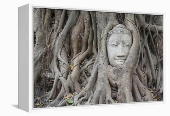 Buddha Statue Head Surrounded By Tree Roots. Wat Phra Mahathat Temple. Ayutthaya, Thailand-Oscar Dominguez-Framed Premier Image Canvas