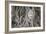 Buddha Statue Head Surrounded By Tree Roots. Wat Phra Mahathat Temple. Ayutthaya, Thailand-Oscar Dominguez-Framed Photographic Print