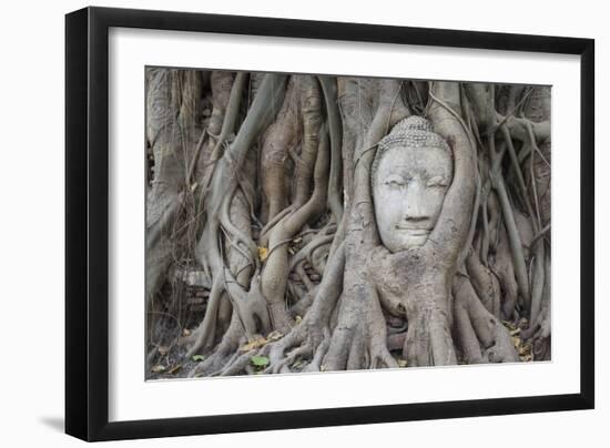 Buddha Statue Head Surrounded By Tree Roots. Wat Phra Mahathat Temple. Ayutthaya, Thailand-Oscar Dominguez-Framed Photographic Print