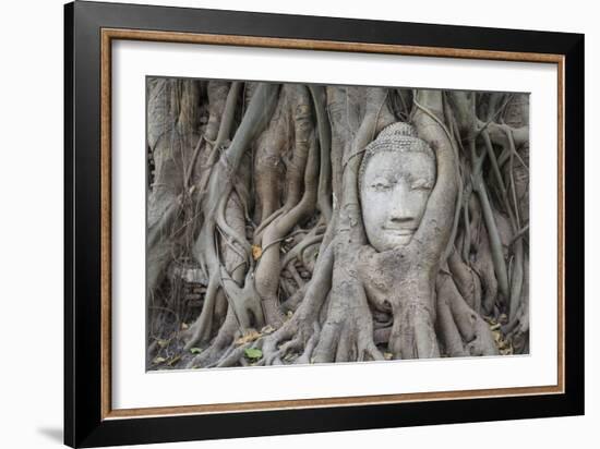 Buddha Statue Head Surrounded By Tree Roots. Wat Phra Mahathat Temple. Ayutthaya, Thailand-Oscar Dominguez-Framed Photographic Print