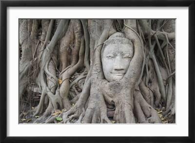 Buddha Statue Head Surrounded By Tree Roots. Wat Phra Mahathat Temple.  Ayutthaya, Thailand' Photographic Print - Oscar Dominguez | Art.com