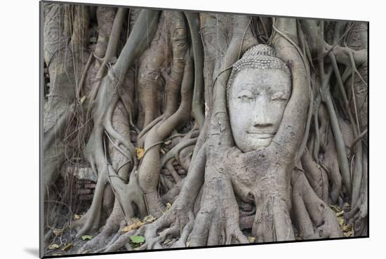 Buddha Statue Head Surrounded By Tree Roots. Wat Phra Mahathat Temple. Ayutthaya, Thailand-Oscar Dominguez-Mounted Photographic Print