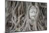 Buddha Statue Head Surrounded By Tree Roots. Wat Phra Mahathat Temple. Ayutthaya, Thailand-Oscar Dominguez-Mounted Photographic Print