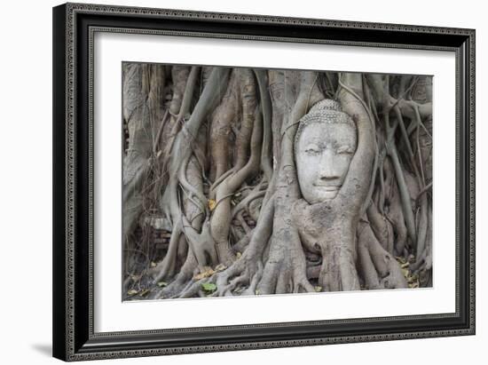 Buddha Statue Head Surrounded By Tree Roots. Wat Phra Mahathat Temple. Ayutthaya, Thailand-Oscar Dominguez-Framed Photographic Print