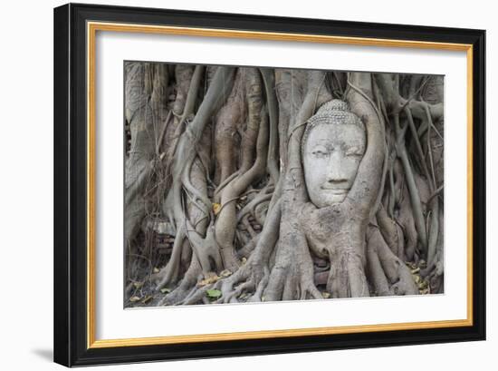 Buddha Statue Head Surrounded By Tree Roots. Wat Phra Mahathat Temple. Ayutthaya, Thailand-Oscar Dominguez-Framed Photographic Print