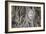 Buddha Statue Head Surrounded By Tree Roots. Wat Phra Mahathat Temple. Ayutthaya, Thailand-Oscar Dominguez-Framed Photographic Print