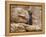 Buddha Statue, Parinirvana, Sri Lanka-Peter Adams-Framed Premier Image Canvas