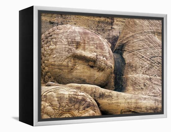 Buddha Statue, Parinirvana, Sri Lanka-Peter Adams-Framed Premier Image Canvas