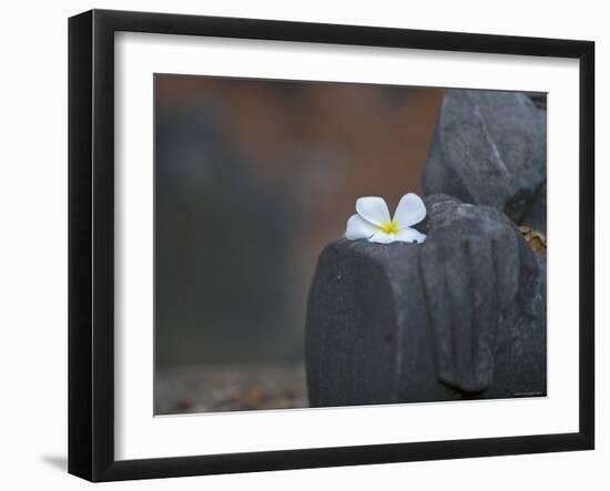 Buddha Statue, Temples of Ayutthaya Thailand-Russell Young-Framed Photographic Print