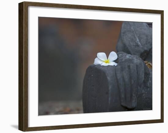 Buddha Statue, Temples of Ayutthaya Thailand-Russell Young-Framed Photographic Print