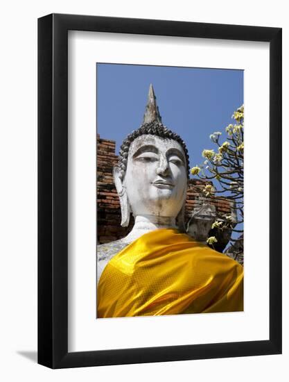 Buddha Statue, Wat Phra Chao Phya-Thai, Ayutthaya, Thailand-Cindy Miller Hopkins-Framed Photographic Print