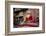 Buddha Statue-Simon Montgomery-Framed Photographic Print