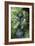 Buddha Statue-Adrian Thomas-Framed Photographic Print