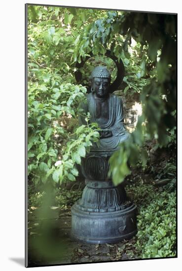 Buddha Statue-Adrian Thomas-Mounted Photographic Print