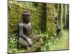 Premium Photographic Print