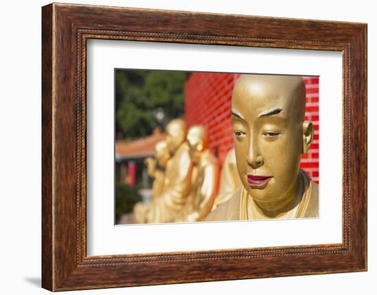 Buddha Statues at Ten Thousand Buddhas Monastery, Shatin, New Territories, Hong Kong, China, Asia-Ian Trower-Framed Photographic Print