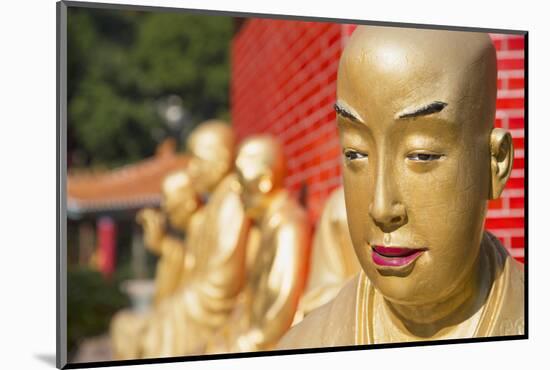 Buddha Statues at Ten Thousand Buddhas Monastery, Shatin, New Territories, Hong Kong, China, Asia-Ian Trower-Mounted Photographic Print