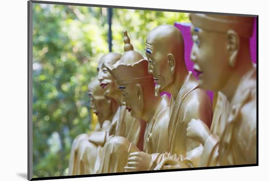 Buddha Statues at Ten Thousand Buddhas Monastery, Shatin, New Territories, Hong Kong, China, Asia-Ian Trower-Mounted Photographic Print