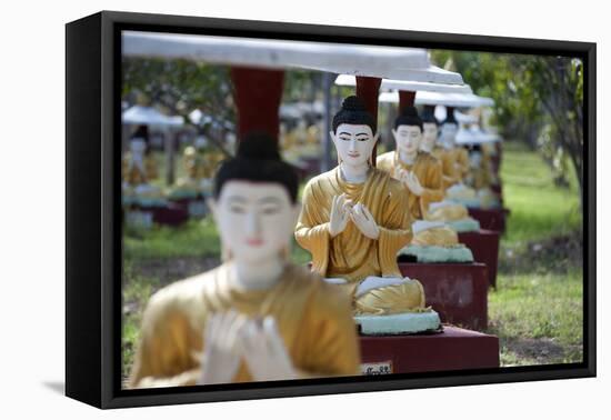 Buddha Statues Each Planted Alongside a Bo Tree in Maha Bodhi Ta Htaung, Myanmar (Burma)-Annie Owen-Framed Premier Image Canvas